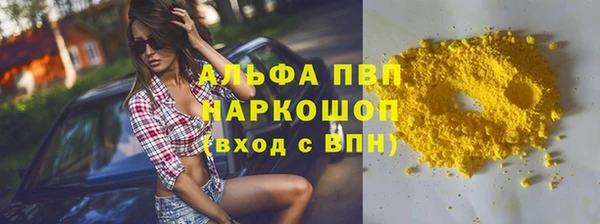 стафф Алексин
